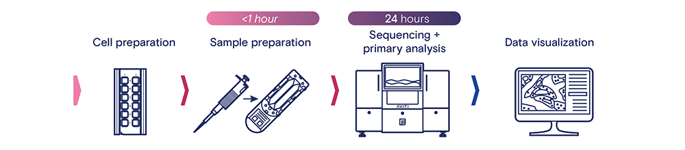 AVITI24 Workflow