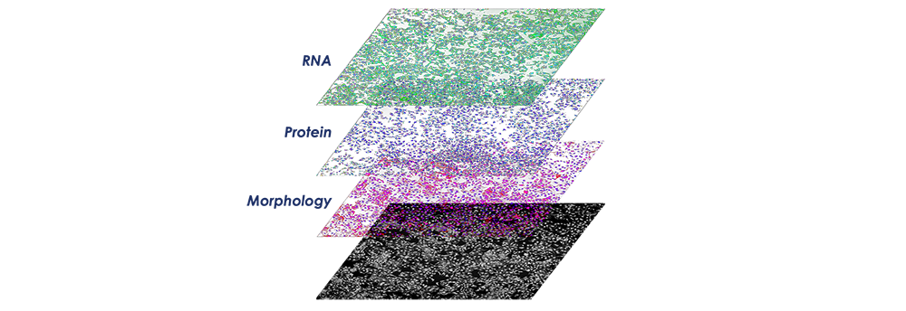 Co-detected multiomics