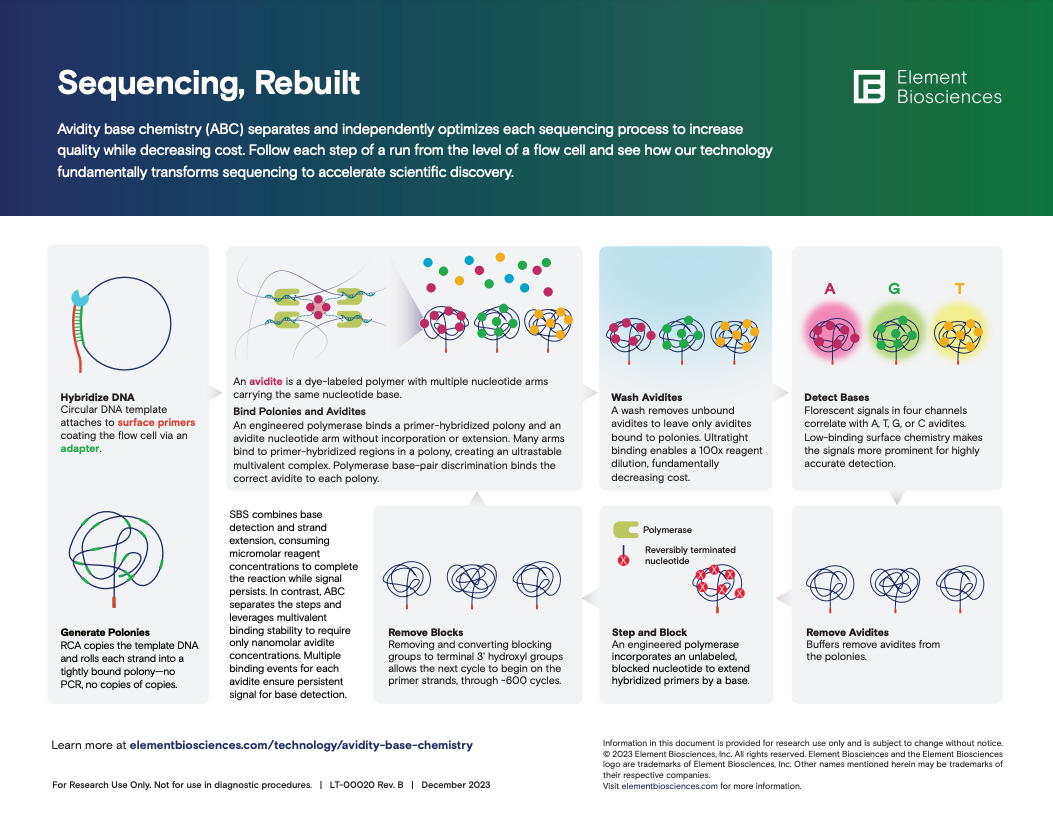 Download the ABC Infographic