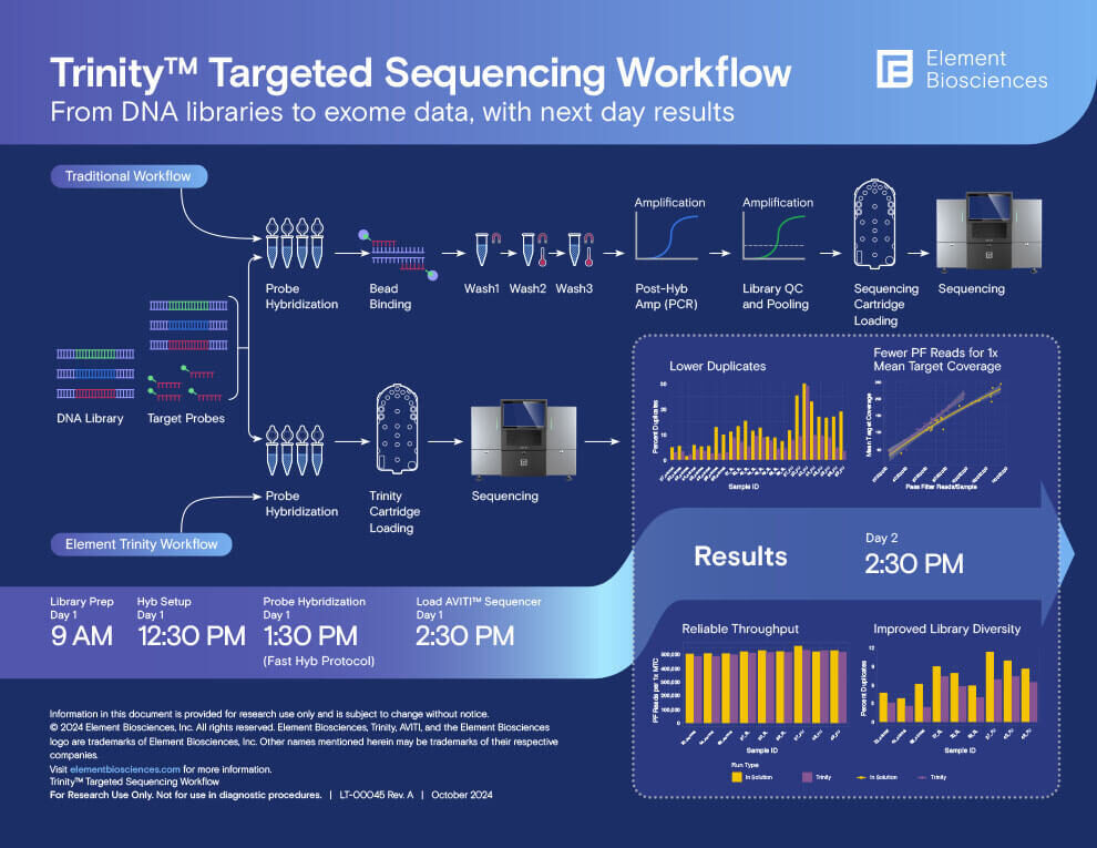 Trinity Infographic