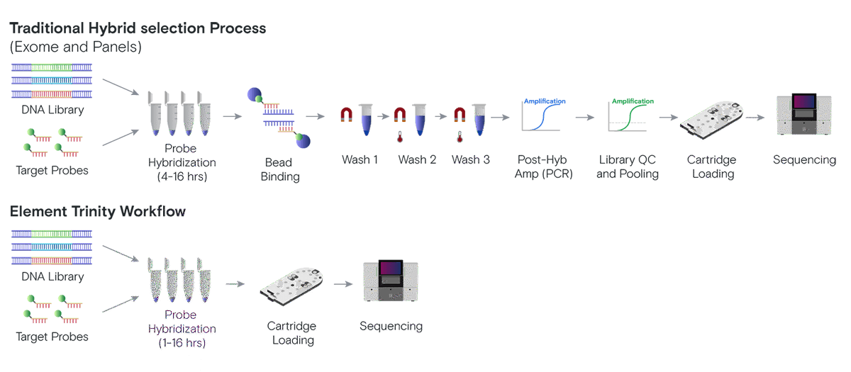 Element Trinity Workflow